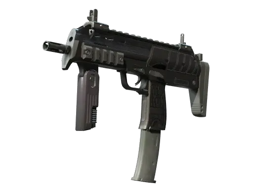 Skin's image