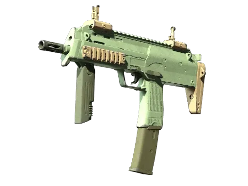 Skin's image