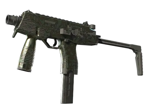 Skin's image