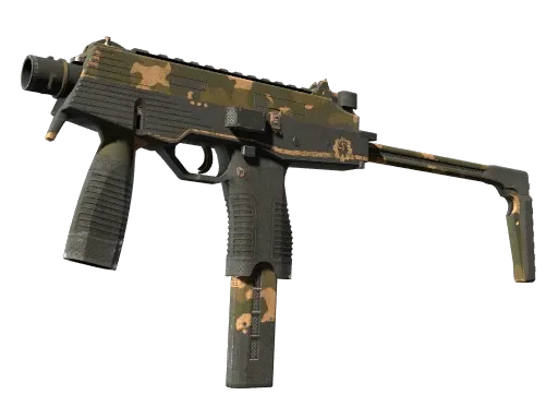 Skin's image