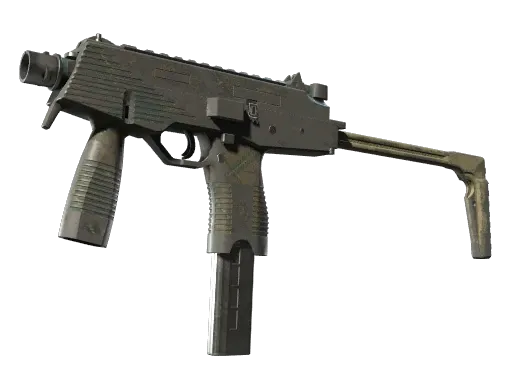 Skin's image