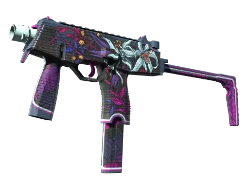 Skin's image