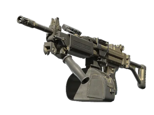 Skin's image