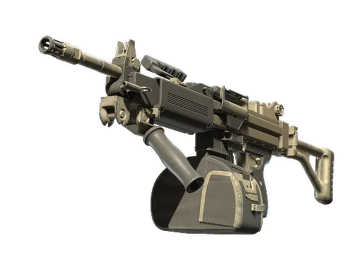 Skin's image