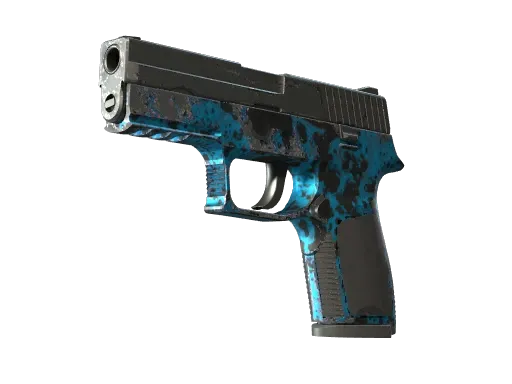 Skin's image