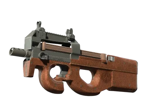 Skin's image