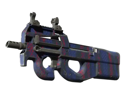 Skin's image