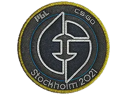 Skin's image