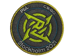 Skin's image