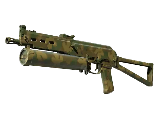 Skin's image