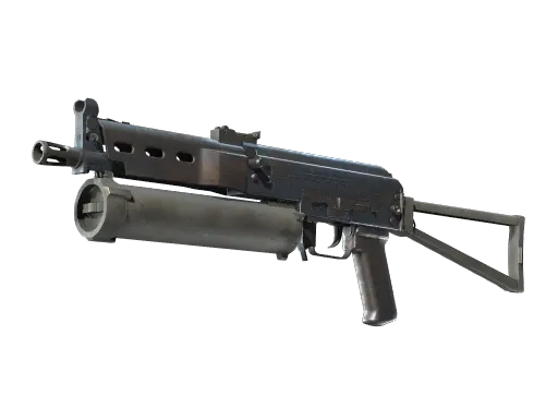 Skin's image