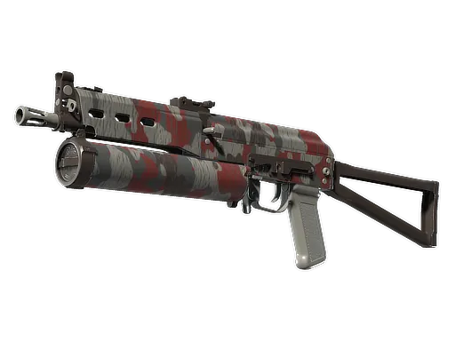 Skin's image