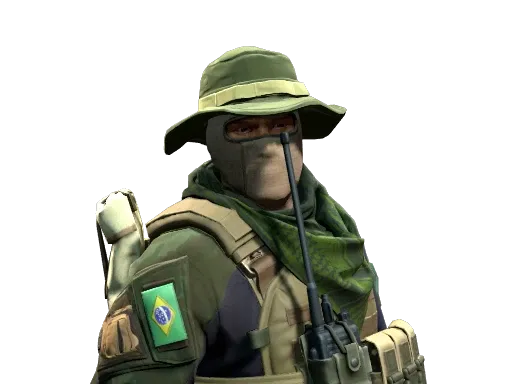Skin's image
