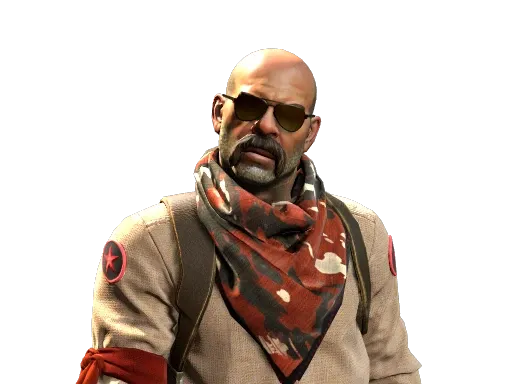 Skin's image