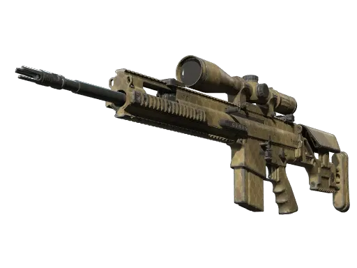 Skin's image