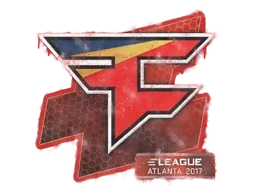 Skin's image