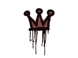 Skin's image