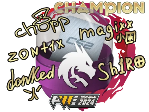 Skin's image