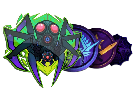 Skin's image