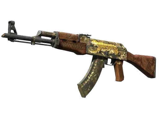 Skin's image