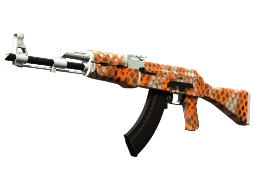 Skin's image