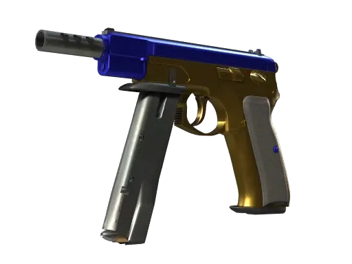 Skin's image