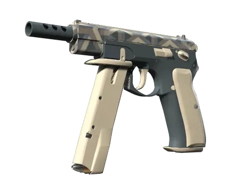 Skin's image