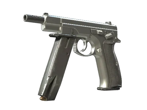 Skin's image