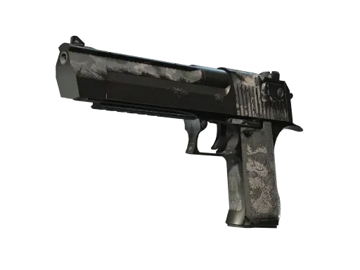 Skin's image