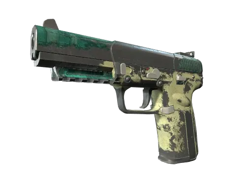 Skin's image