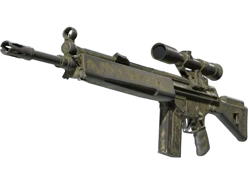 Skin's image
