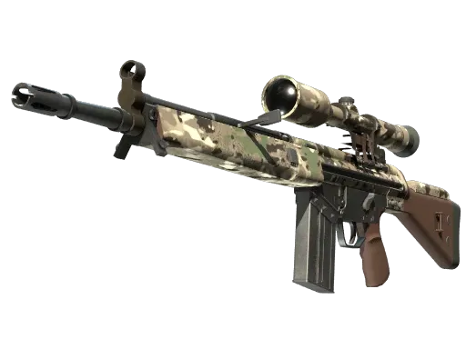 Skin's image