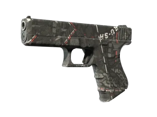 Skin's image