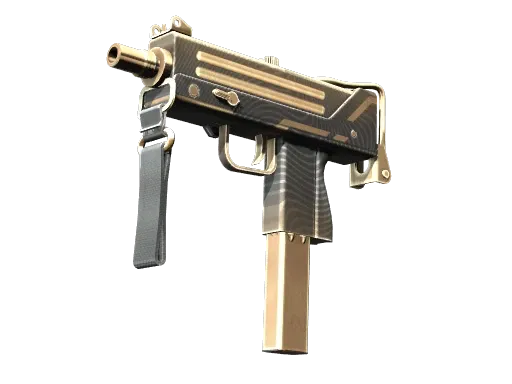 Skin's image