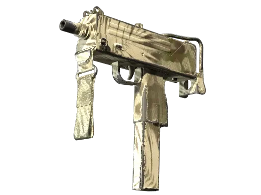 Skin's image