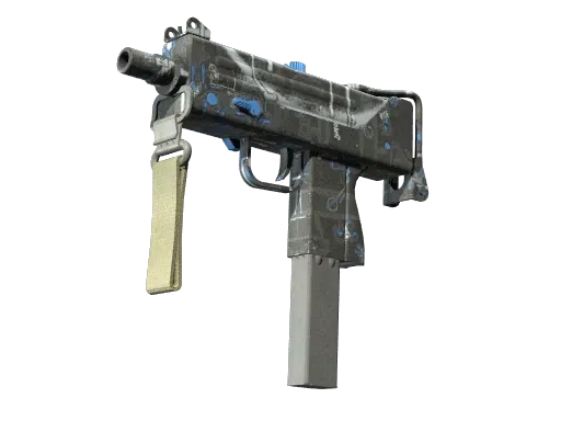 Skin's image