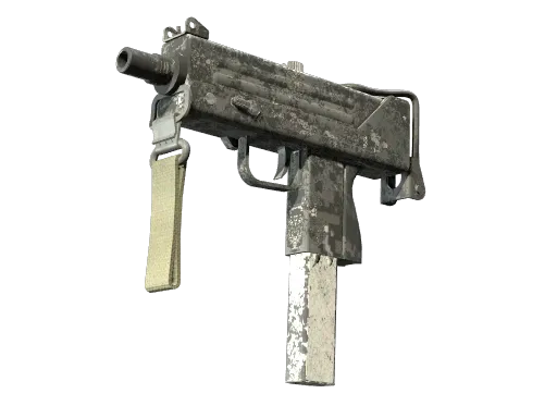 Skin's image