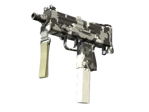 Skin's image