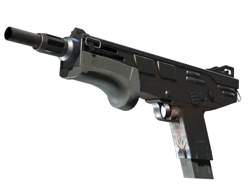 Skin's image