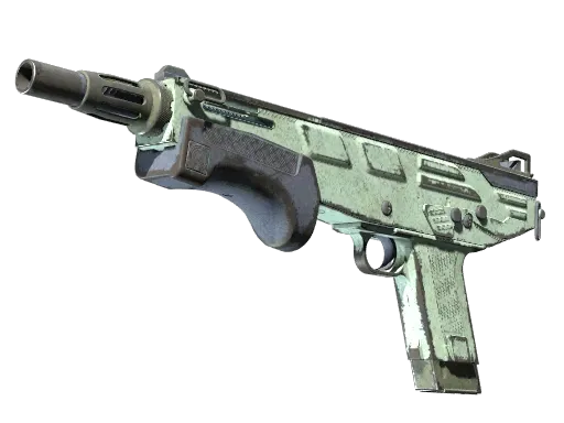 Skin's image