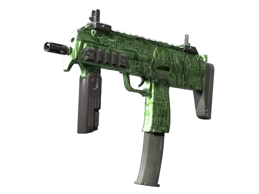 Skin's image
