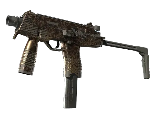 Skin's image