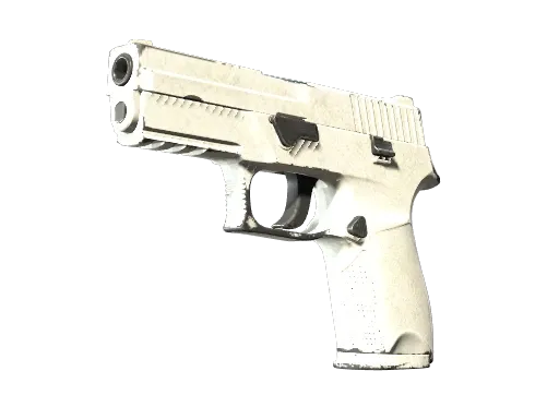 Souvenir P250 | Whiteout (Well-Worn)