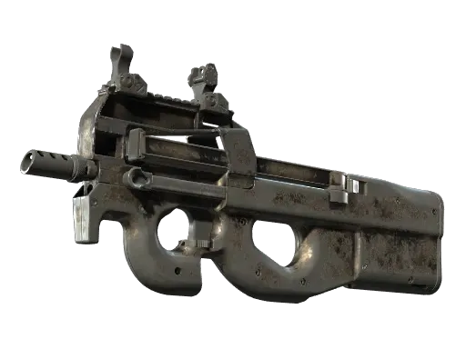 Skin's image