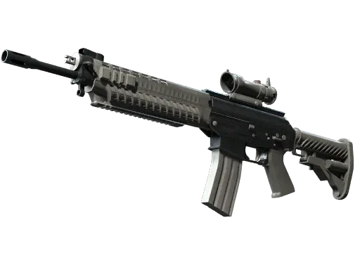 Skin's image