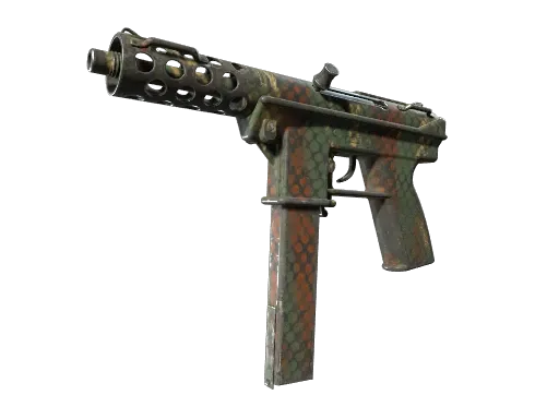 Skin's image