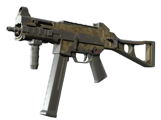 Skin's image