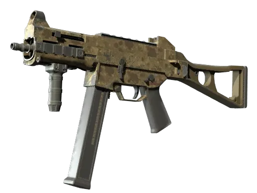 Skin's image