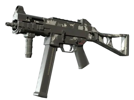 Skin's image