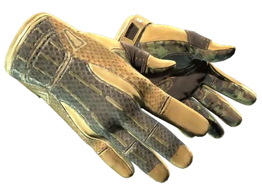 Skin's image